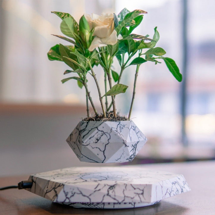 Floating Planter Magnetic Levitation Bonsai Pot